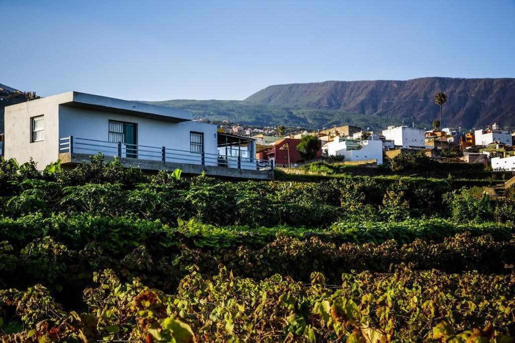 Finca Maranuela La Perdoma Exteriör bild