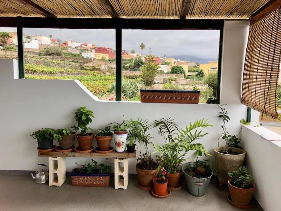 Finca Maranuela La Perdoma Exteriör bild
